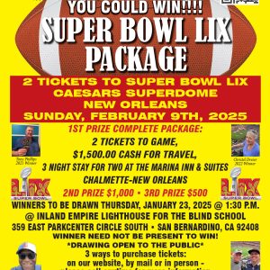 SUPER BOWL 59 Flyer 2024